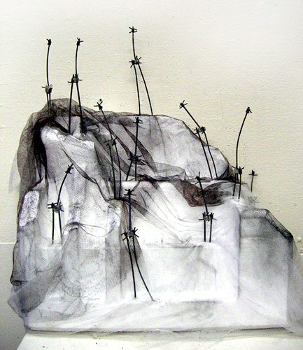 "Detritus" image