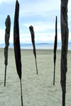 Memoriam 2 by Kelly Gough click to enlarge