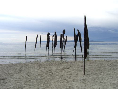 "`Memoriam 3" photograph