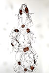 Elements - by Kelly Gough click to enlarge
