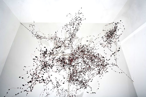Swarm 2 Image