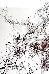 Swarm image click to enlarge