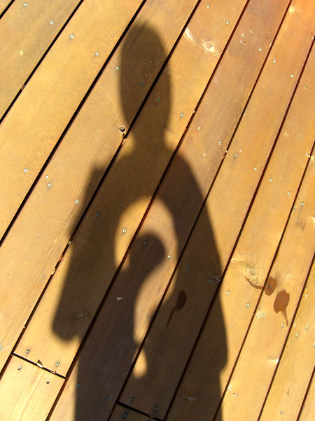 "Who am I?"  photograph - image